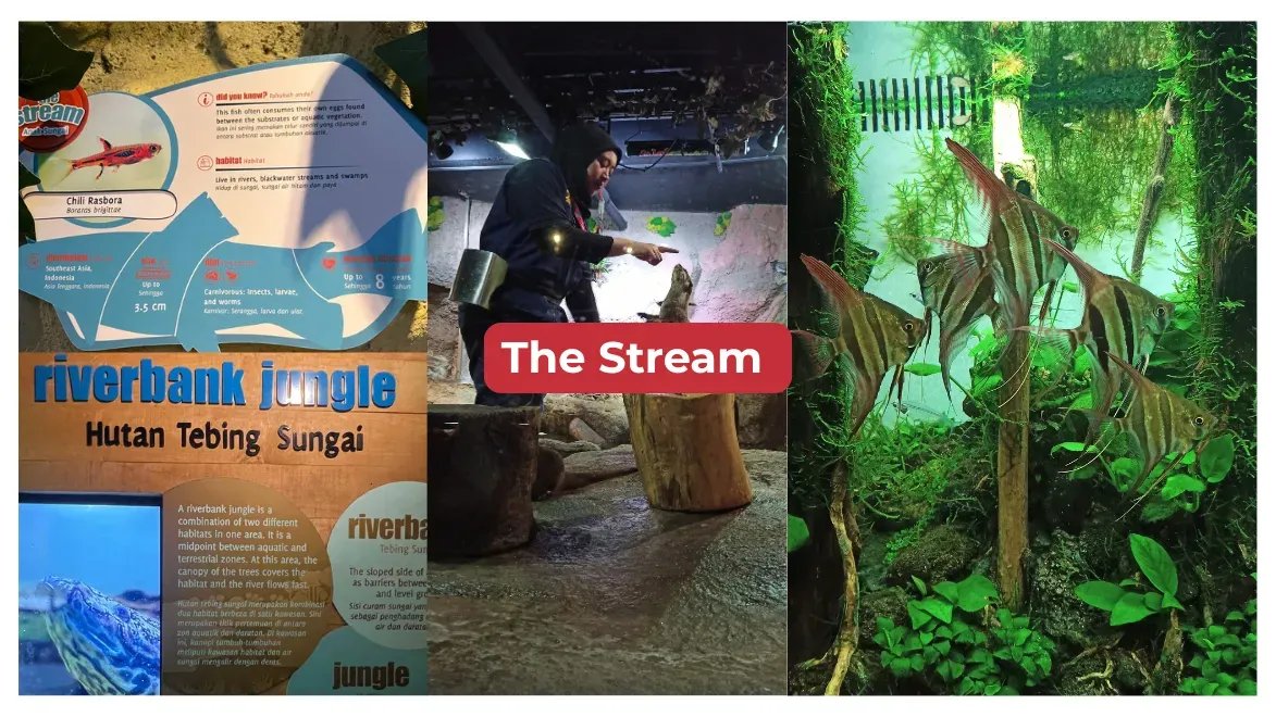 The Stream Aquaria KLCC